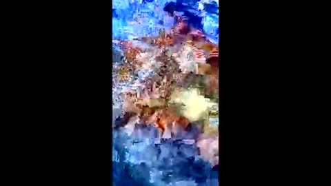 Peter Jacksone online show from 01/10/26, 08:54