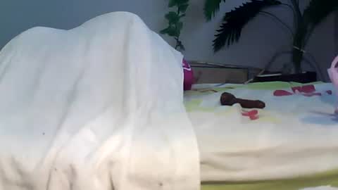 Bee Bee online show from 09/22/25, 03:41