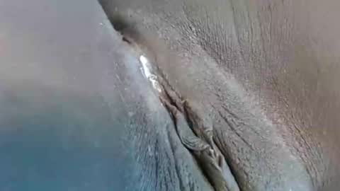 lyiajee online show from 09/23/25, 02:53