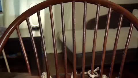 hi im Lyle online show from 02/27/25, 06:18