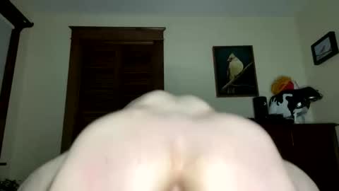 lyle blue online show from 02/07/26, 09:35