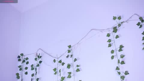 Lyly   online show from 01/12/26, 05:34