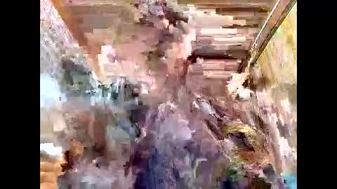 lyn_eva online show from 03/07/26, 11:07