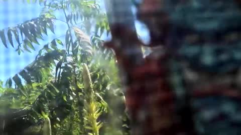 SLoppYxXPeeHoLeXxGspotxX online show from 02/15/26, 08:38