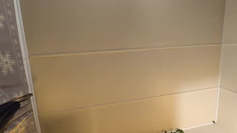 MARCUSNYX online show from 11/21/25, 07:56