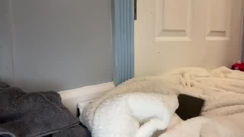 madibaby999 online show from 01/15/26, 10:24