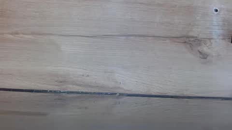 M A D I S O N online show from 05/09/26, 11:32