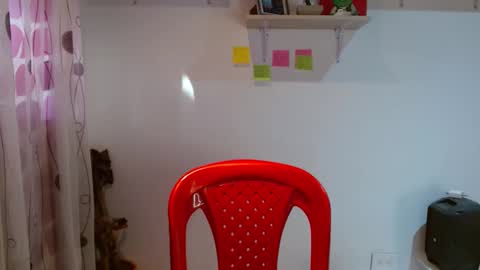 Snapshot of madisoncambel chatting on 01/29/25, 10:11 Madison Cambel online show from 01/29/25, 10:11