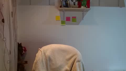 Snapshot of madisoncambel chatting on 02/12/25, 03:40 Madison Cambel online show from 02/12/25, 03:40