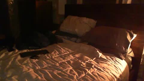 Snapshot of madmax0133 chatting on 02/26/25, 12:38 Guigui online show from 02/26/25, 12:38