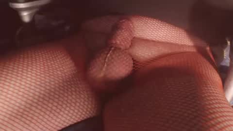 maestro2017 online show from 02/06/26, 11:30