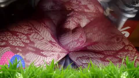 maestro2017 online show from 04/12/26, 12:15