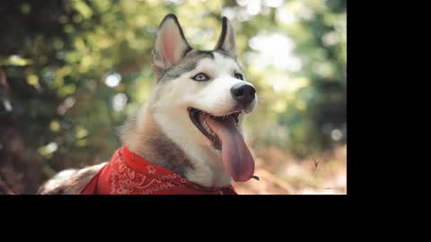 magic_katarina_ online show from 01/25/25, 02:36