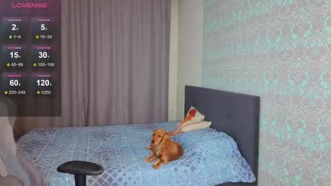 Merry online show from 11/09/25, 01:04