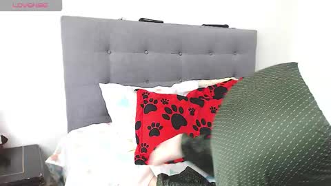 Snapshot of magic_stephany__ chatting on 02/04/26, 01:28 magic_stephany__ online show from 02/04/26, 01:28