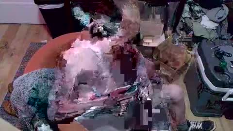 magnetic77slav online show from 01/09/26, 10:55