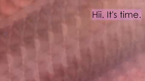 maitte_angel online show from 04/02/26, 12:03