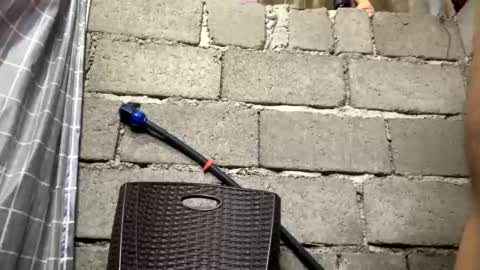 Tinaj online show from 03/04/26, 08:31