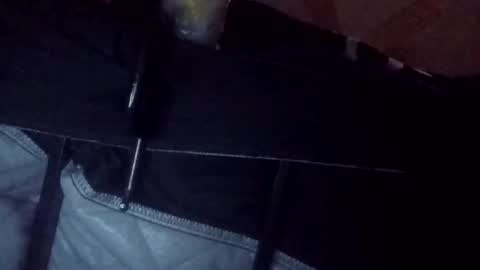 makeunumb88 online show from 03/20/26, 06:51