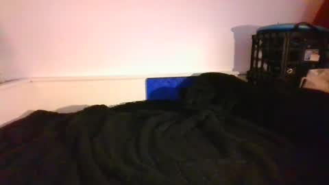 CommandbondageNipples bondage kink submissive lovense slave wgear. modequiethvyBondage If Password goldfish online show from 12/14/24, 09:56