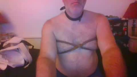 CommandbondageNipples bondage kink submissive lovense slave wgear. modequiethvyBondage If Password goldfish online show from 10/14/25, 07:31