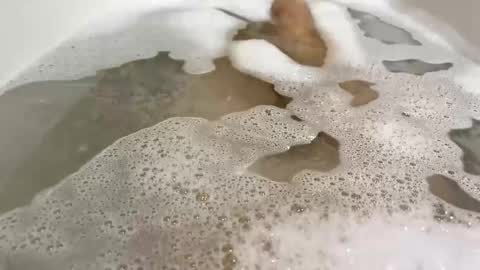 Monad online show from 11/10/25, 09:03