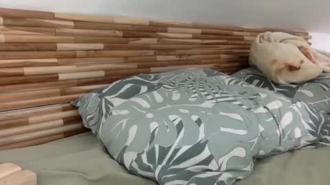 mamattv online show from 01/12/26, 09:47