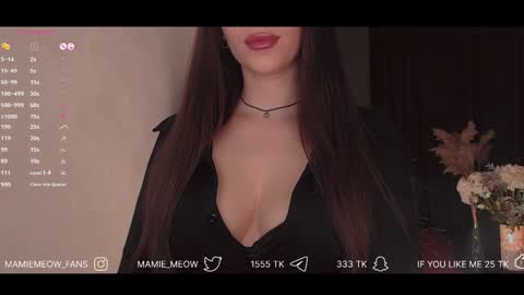 Snapshot of mamiemeow chatting on 01/29/25, 12:56 Your Miss Alice online show from 01/29/25, 12:56