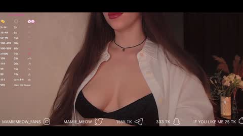 Snapshot of mamiemeow chatting on 02/03/25, 01:30 Your Miss Alice online show from 02/03/25, 01:30