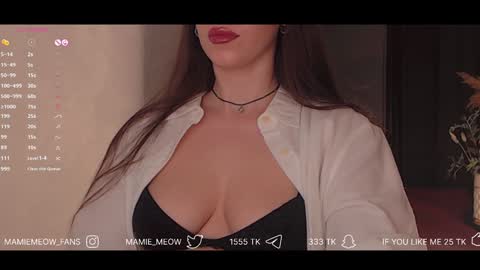 Snapshot of mamiemeow chatting on 02/03/25, 04:31 Your Miss Alice online show from 02/03/25, 04:31