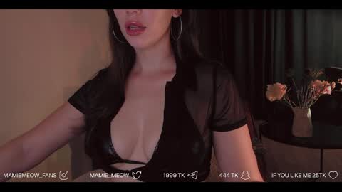 Snapshot of mamiemeow chatting on 06/06/26, 05:23 Your Miss Alice online show from 06/06/26, 05:23