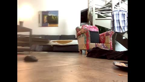 man38110 online show from 02/14/25, 06:51