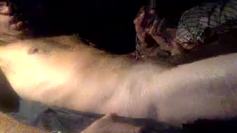 mandalay3 online show from 12/16/25, 05:12