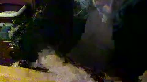 mangochurro online show from 04/30/26, 07:20
