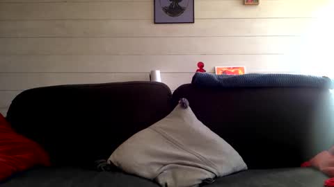 Manpo online show from 10/12/25, 01:43