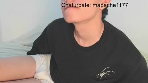 Snapshot of mapache1177 chatting on 05/19/26, 03:18 mapache1177 online show from 05/19/26, 03:18
