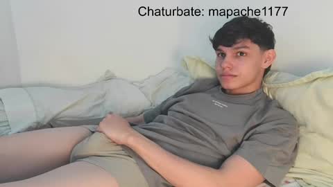 Snapshot of mapache1177 chatting on 05/26/26, 08:27 mapache1177 online show from 05/26/26, 08:27