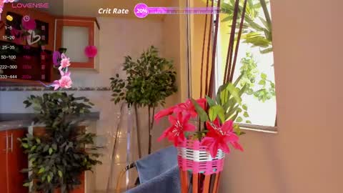 MARA  online show from 05/27/26, 11:51