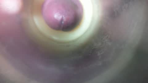 Marc online show from 02/19/26, 08:49