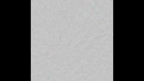 Margot online show from 01/31/25, 11:24