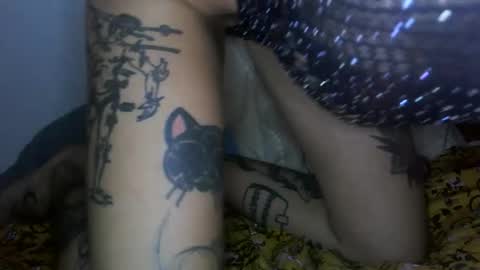 margotshorse online show from 02/22/26, 09:02