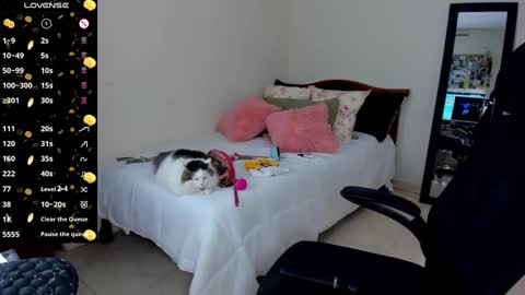   Mariam Castiblanco online show from 01/14/25, 03:01