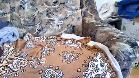 marian20242025 online show from 03/11/26, 08:53