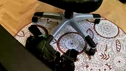 Snapshot of mario659234 chatting on 03/22/26, 02:42 marcoxxl online show from 03/22/26, 02:42