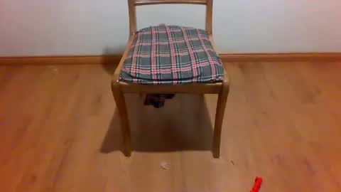 Maripaula369 online show from 01/12/25, 11:58