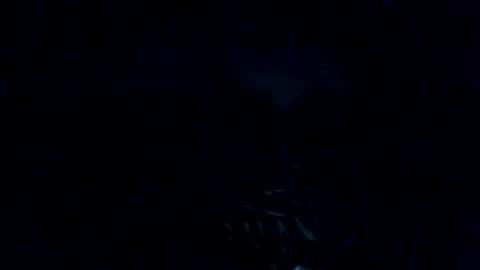 mark7062012 online show from 10/29/25, 10:39