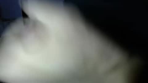 mark_270 online show from 04/03/26, 06:06