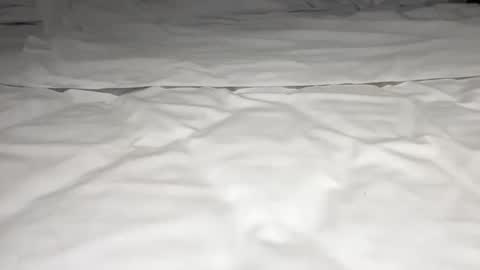 mark_nips02 online show from 02/23/26, 11:35