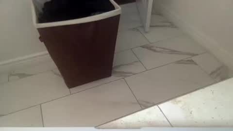 markk702 online show from 10/11/25, 04:27