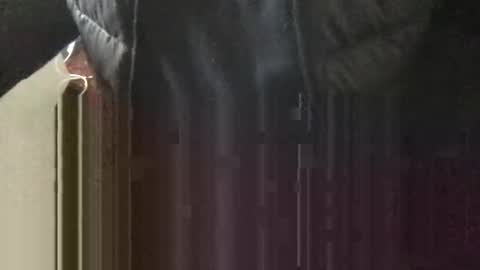 marklondonguy2023 online show from 04/13/26, 03:50